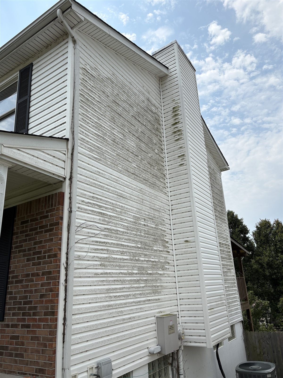 Two-story vinyl siding before soft washing, with heavy algae and organic staining, South County St. Louis